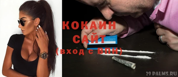 шишки Надым