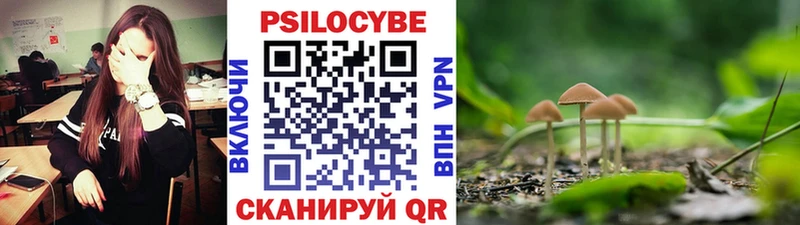 Галлюциногенные грибы GOLDEN TEACHER  кракен ссылки  Якутск 